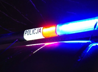 Przewoził nielegalnych imigrantów