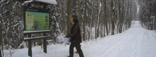 Zimowe spacerowanie w gminie Gietrzwałd